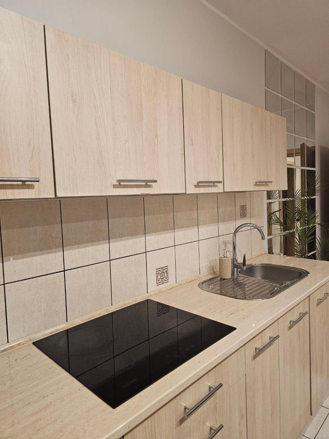 Apartament Rema W Centrum Apartzakop Zakopane Ngoại thất bức ảnh